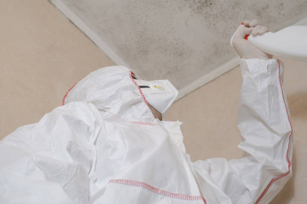 Best Mold Testing and Inspection Services in Franklin Rk, PA